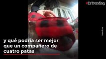 La emoción de una madre al recibir un cachorro como regalo