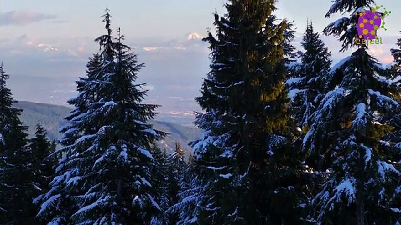 15 Minute Cool Relaxing Music | Snow Imagery | Healing | Self-love | Positive Energy | Focus | Concentration