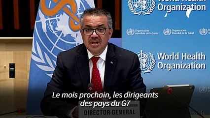Vaccins: le directeur de l'OMS appelle le G7 à la solidarité