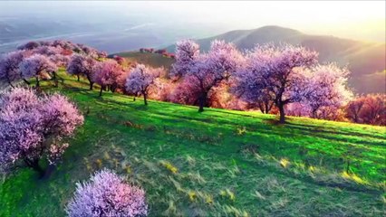 Meme Compilation #16 | Boredom Peaks