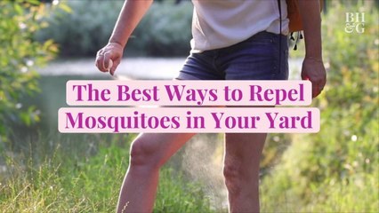 The Best Ways to Repel Mosquitoes in Your Yard
