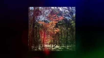 Relaxing Music for Deep Sleep. Calm Background for Sleeping, Meditation, Delta Waves.  , Yoga  by Jesse Gallagher #No copywrite music