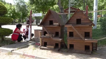 KAHRAMANMARAŞ - Belediye ekipleri sokak hayvanlarını besledi