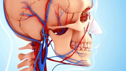 Rinoplastia: ¿Qué sabes sobre este procedimiento quirúrgico ?