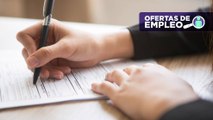 Aproveche más de 1.200 ofertas de empleo en Siigo, Sena y Protalento