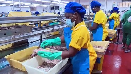 Le Ministre des Ressources animales et Halieutiques Sidi Tiémoko Touré  s'imprègne des dossiers du secteur