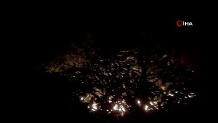 Ordu'da ormanlık alandaki yangına müdahale sürüyor