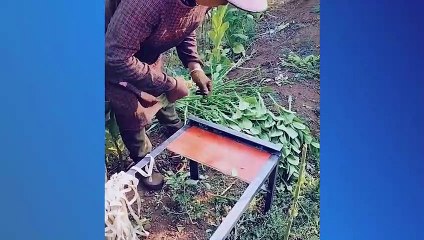 Satisfying & Relaxing Video That Visually Massages Your Eyeballs