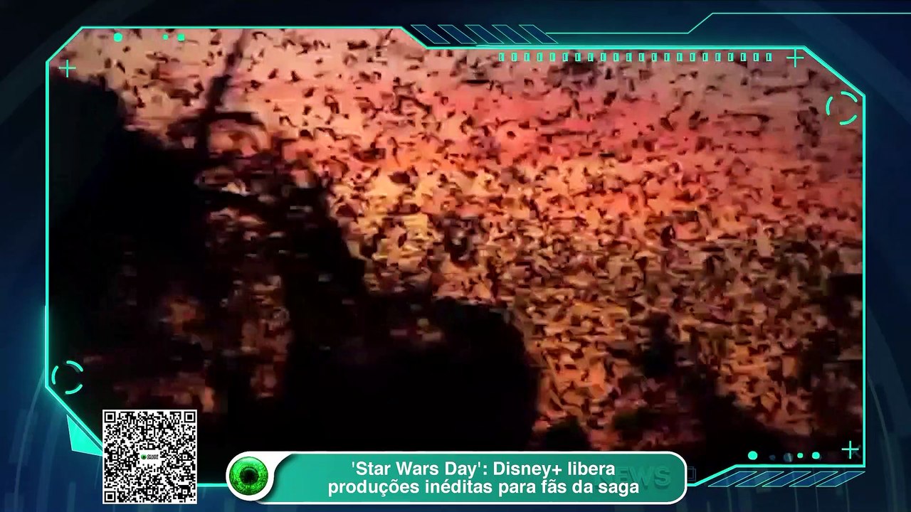 'Star Wars Day'- Disney+ libera produções ine...
