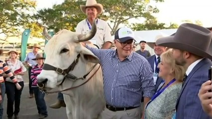 Govt to commit $370m to improve biosecurity