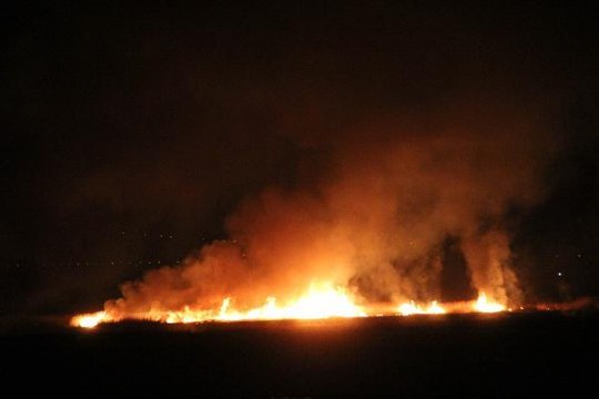 Erzincan'da kuş cenneti alev alev yanıyor