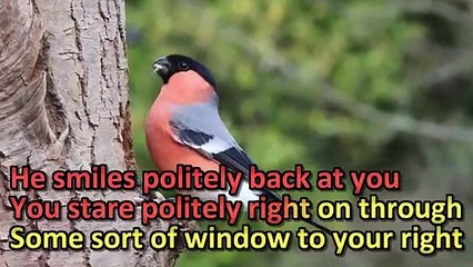 How To Save A Life - With Lyrics By: The Fray