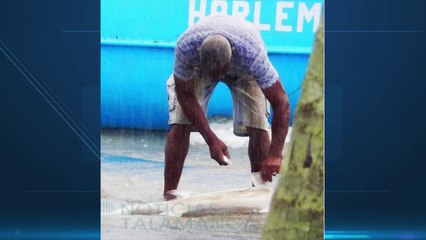 tn7-denuncian-hombre-mato-tiburones-martillo-caribe-sur-030521