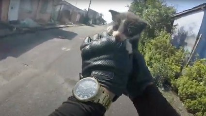 Motorcyclist Rescues Precious Kitten From Road