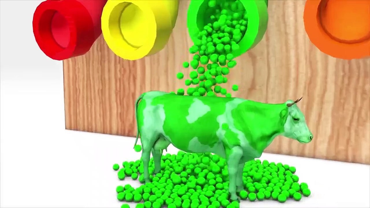 KIDS POST # Kids cow videos
