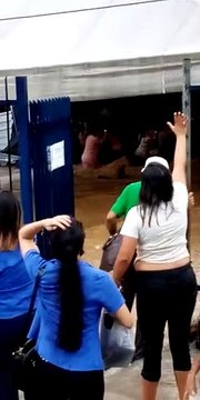 Chuva forte destrói abrigo de imigrantes e deixa feridos em Manaus; veja