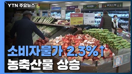 소비자물가 2.3%↑, 3년 8개월만 최고...농축산물·석유류 가격 상승 / YTN