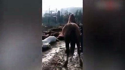 Sosyal medya bu görüntüleri konuşuyor! İBB'den açıklama geldi