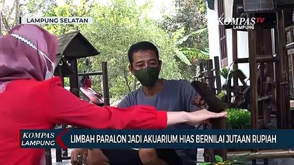 Kreatif! Ubah Limbah Paralon Jadi Akuarium Hias Bernilai Jutaan Rupiah