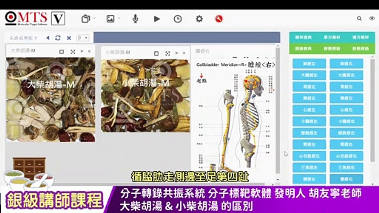 【中文字幕】wellness 銀級講師課程  大柴胡湯 & 小柴胡湯 的區別