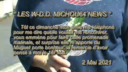 LES W-D.D. MICHOU64 NEWS - 2 MAI 2021 - PAU - PROMENADE DOMINICALE MATINALE VAIS À LA RENCONTRE DE MON AMIE