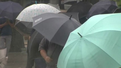 [날씨] 전국 벼락 동반 비바람, 제주 호우...어린이날,  맑지만 쌀쌀 / YTN