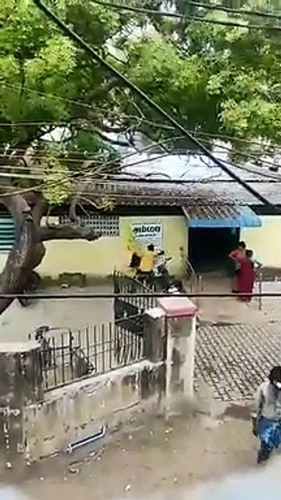 சென்னையில் இனி அம்மா உணவகம் எல்லாம் கிடையாது.. சூறையாடி மர்ம நபர்கள்.. வைரல் வீடியோ