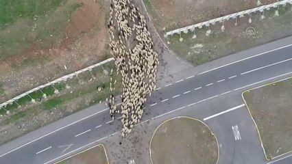 Ramazanda zorlu yolculuğa çıkan göçerler bayramı da yolda geçirecek