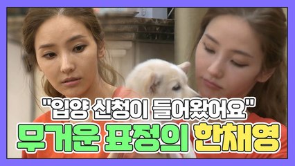 "입양 신청이 들어왔어요" 한순간에 무거워진 한채영네ㅠ_ㅠ
