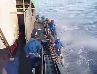 Hiç bu şekilde orkinos avı görmediniz...