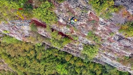 Así fue el rescate de Canela, la perra que ha sobrevivido tras dos días enriscada en la Foz de Lumbier