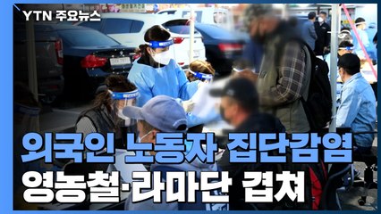 강원 지역 외국인 노동자 무더기 감염...영농철·라마단 겹쳐 / YTN