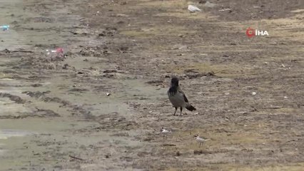 Marmara'da denizin dibi zindana döndü