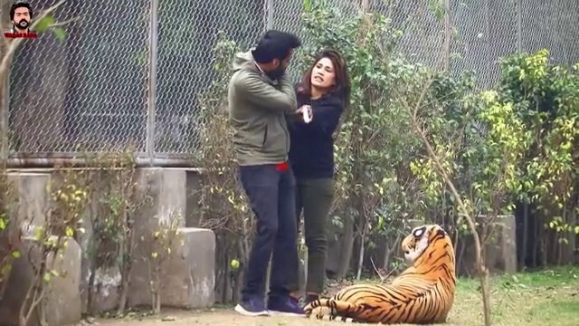 Fake Dog Barking Prank Fake Dog Scare Prank Zero Brand Guru Raaj Fakhar Zaman 2021
