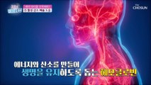 피를 맑게 해주는 새싹 보리 속 ✦클로로필✧ TV CHOSUN 210504 방송