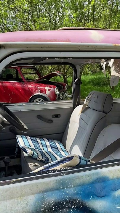 Rare Mini car collection destroyed by 'mindless' vandals