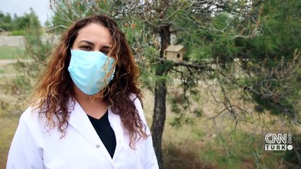 Yavru sincaplara anne şefkati