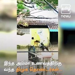 DMK Men Ransack Amma Unavagam In Chennai