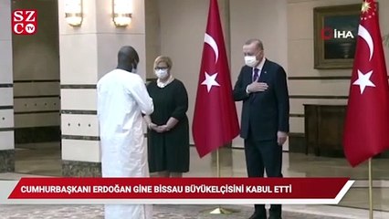 Cumhurbaşkanı Erdoğan, Gine Bissau Büyükelçisini kabul etti