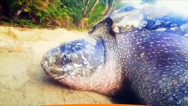 Conversations with the United Nations - 4th May, 2021