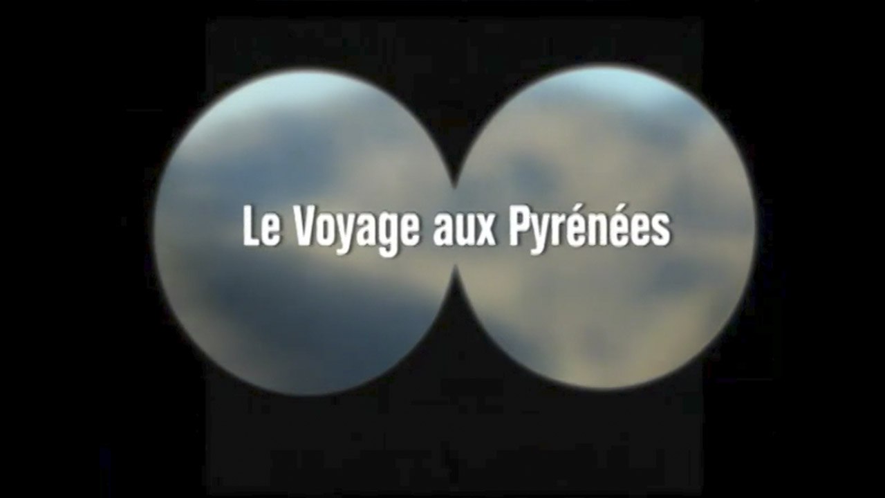 Le voyage aux Pyrénées (2008) Streaming Grati...