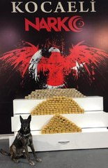 ARAÇTAKİ 139 KİLO EROİNİ NARKOTİK KÖPEĞİ 'ALFA' BULDU