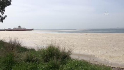 Altınova sahilinde "deniz salyası" nedeniyle beyaz tabaka oluştu