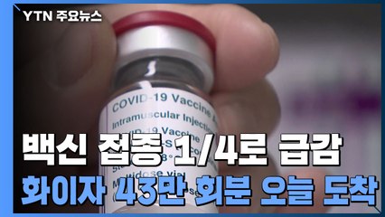 백신 접종 1/4로 급감...오늘 화이자 43만 회분 도착 / YTN