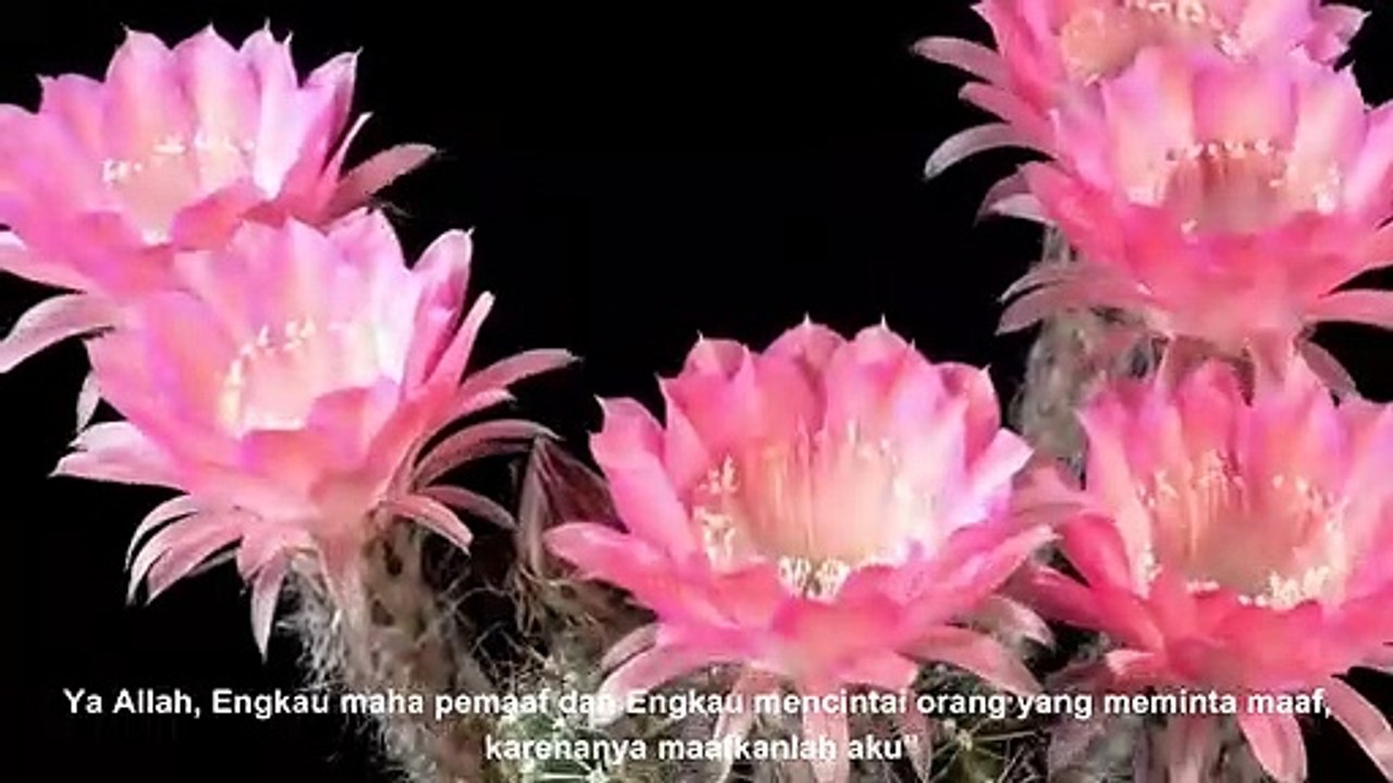 DOA UNTUK MENDAPAT LAILATUL QADAR