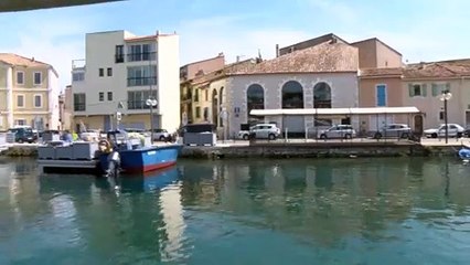 La Venise provençale au gré des courants