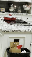 Hailstorm Bursts through Kitchen Skylight