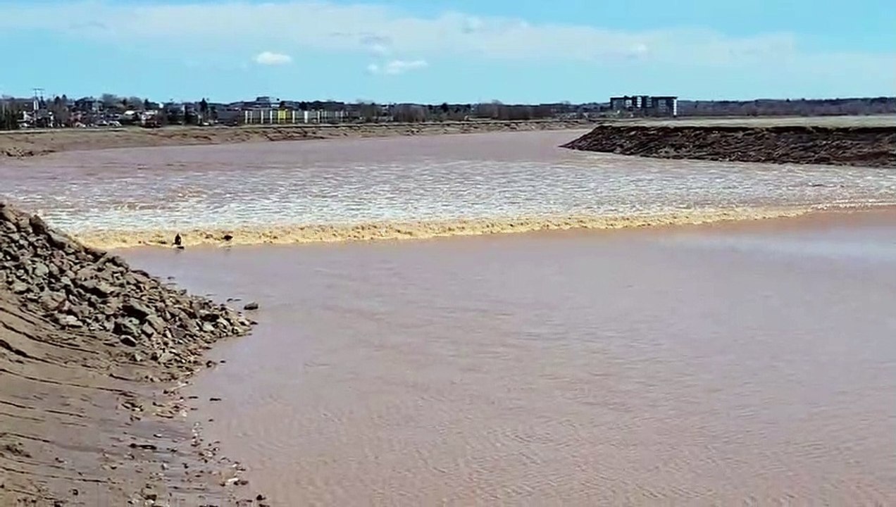 Des surfeurs prennent une vague de marée pendant un mascaret