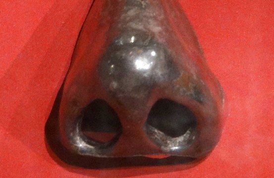 New study claims men with big noses have larger penises