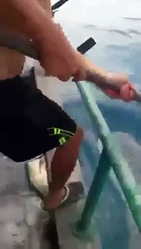 Un requin baleine approche un pêcheur pour lui demander de l'aide